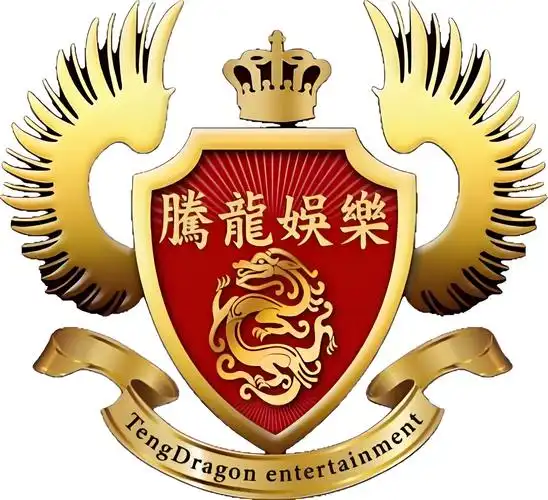 腾龙公司方形Logo